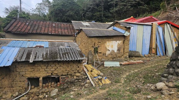 20251218犁頭山-吧哩國山主東峰-石頭坑山西南峰-石頭坑山2967008