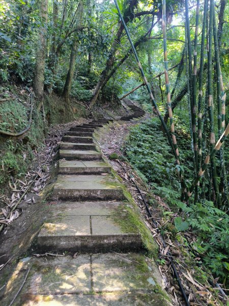 20251010微笑山線：【五分山系】平溪小黃山段 - 健行筆記2910179