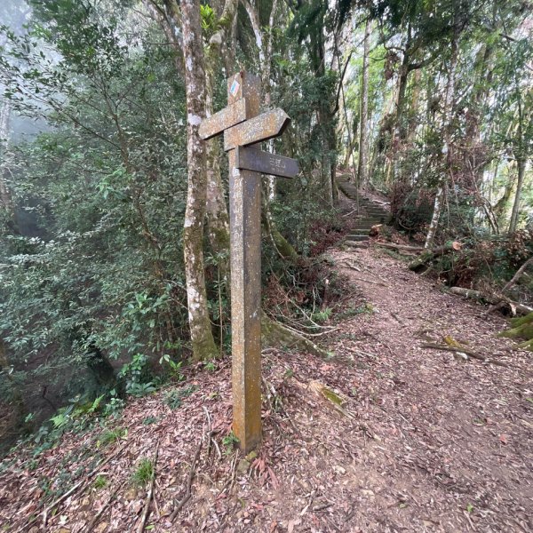 20251108_石壁山（雲林小百岳）2941450