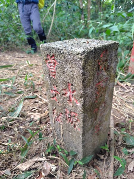 大棟山系南段 水利古道西口 上 竹高崙山 連走 鳥子嶺 坑仔內山 大崖山 下 龍目井農場2953148