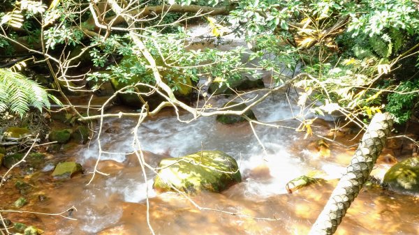 天母古道, 紗帽山1619095