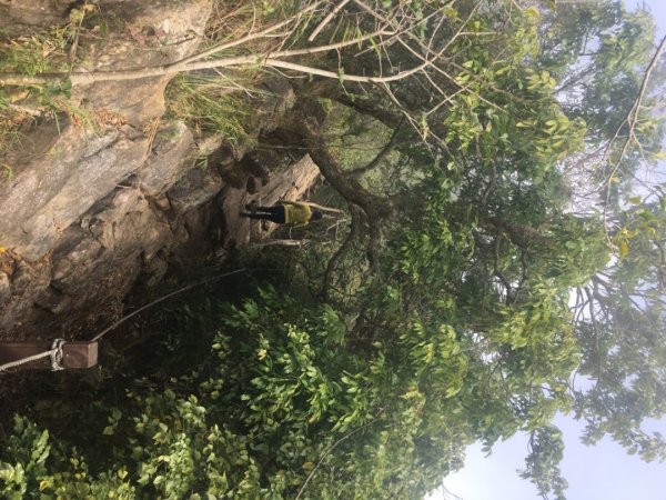 龍麟山步道（王爺崙2703644