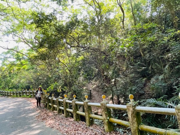 1120503_0607泰安登山步道-如光寺2142413