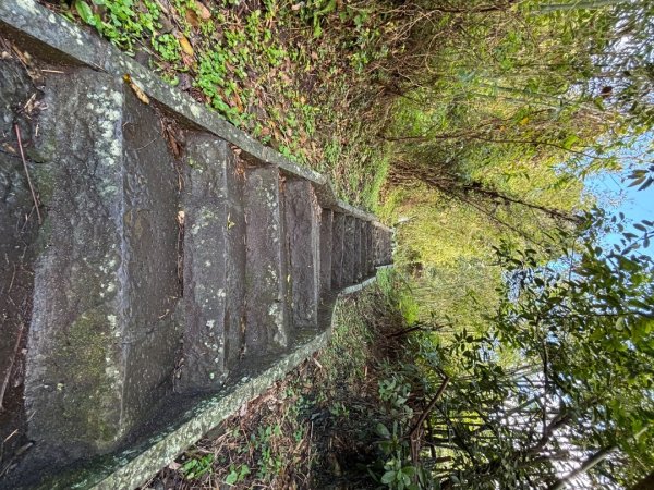 觀音山小木馬探路2703450