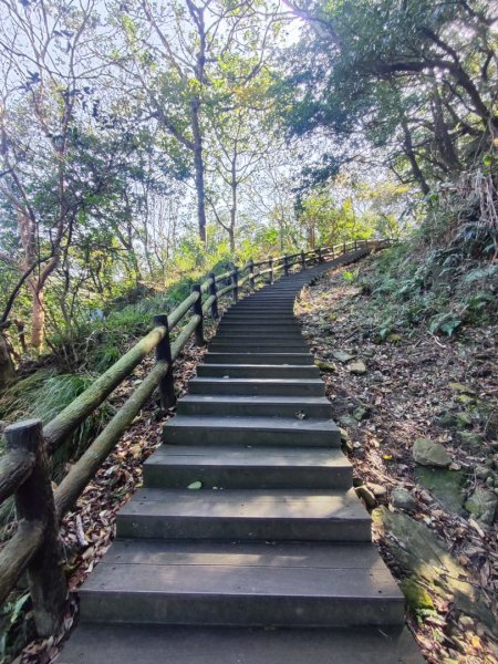 新嶺山步道-大湖頂山-大棟山-鶯歌大榕樹-福源山步道