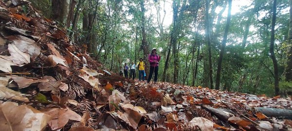 霞喀囉步道(全程)2972325