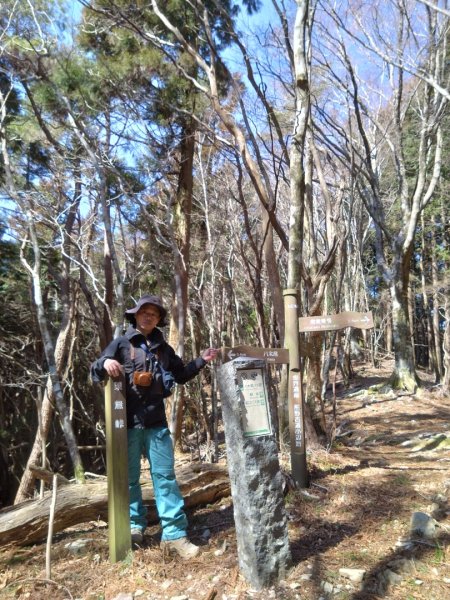 熊野古道小邊路.熊野三山2485566