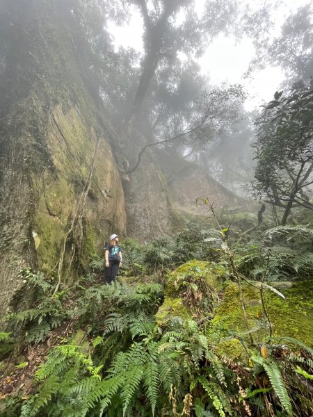 20230409鵝公髻山-第一登山口來回2103568