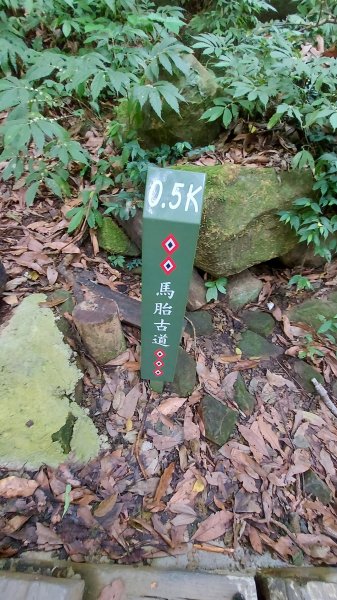 111/01/15新竹縣尖石鄉馬胎古道、南坪古道、內灣山1595594