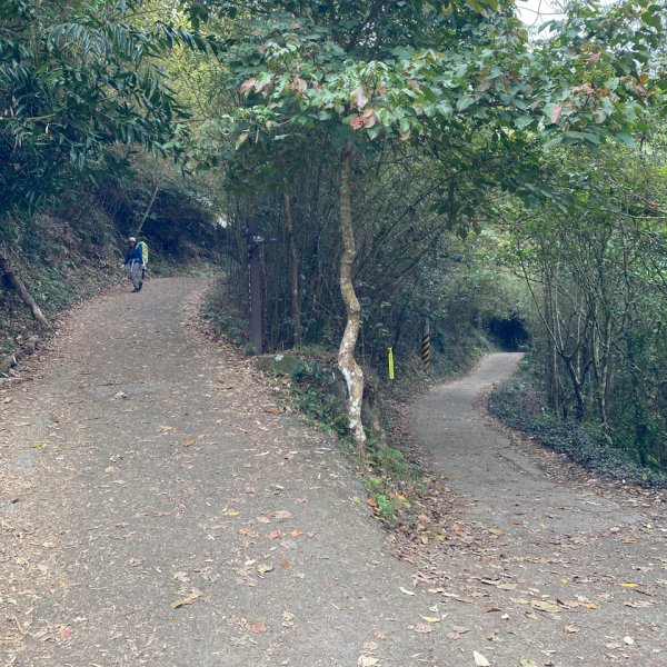 台南大凍山 1241M 小百岳#631270958
