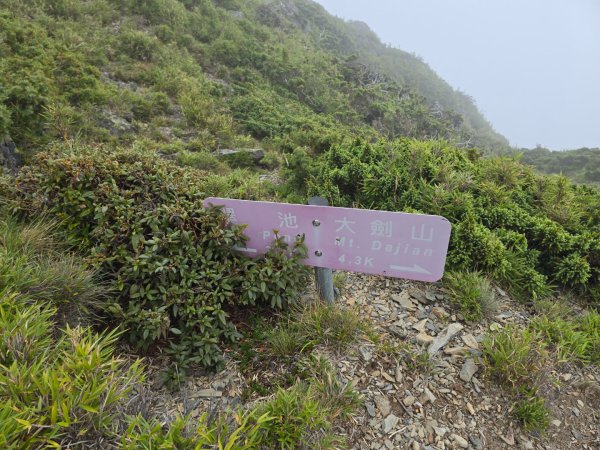 20240927 志雪劍2614931