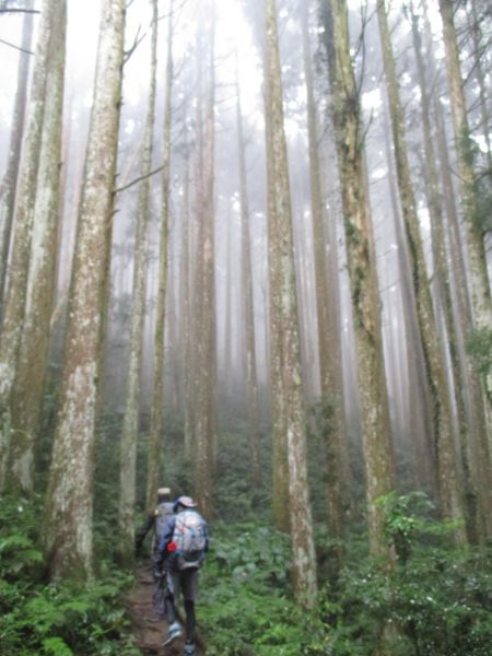 加里山之美193542