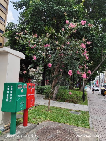 師大公園、中正紀念堂【走路趣尋寶，全臺齊步走】2531288