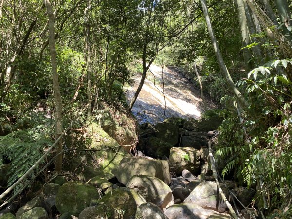 《五指山古道 × 石盤瀑布 × 友蚋山南峰 × 柯子林天然泳池｜尋訪山林古道與靜謐日式庭園》2923009