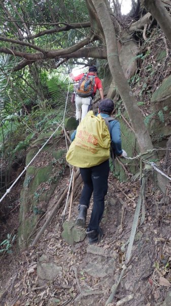 龜山五連星+大棟山O型2785160