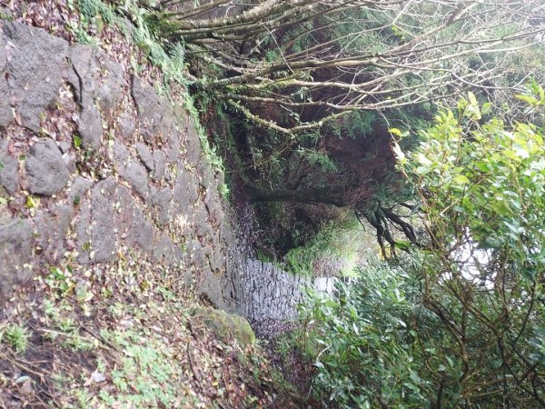 小油坑～七星山～冷水坑～擎天崗1940745