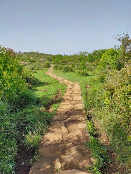 ［走遍陽明山］頂山石梯嶺步道+坪頂古圳2186459