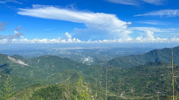 隙頂二延平步道2798972