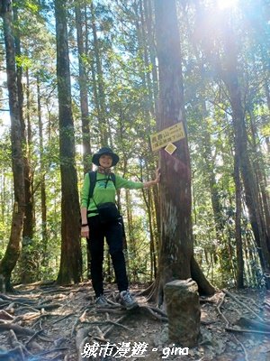 【台中和平】山林野餐。長壽山(肥崠山)山徑2969451