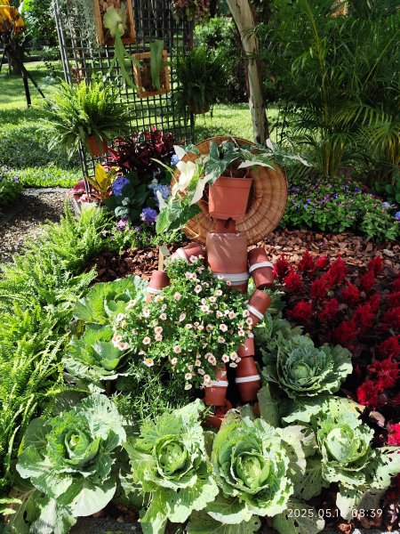 象山公園→糶米古道→土地公嶺步道→博嘉山2790305