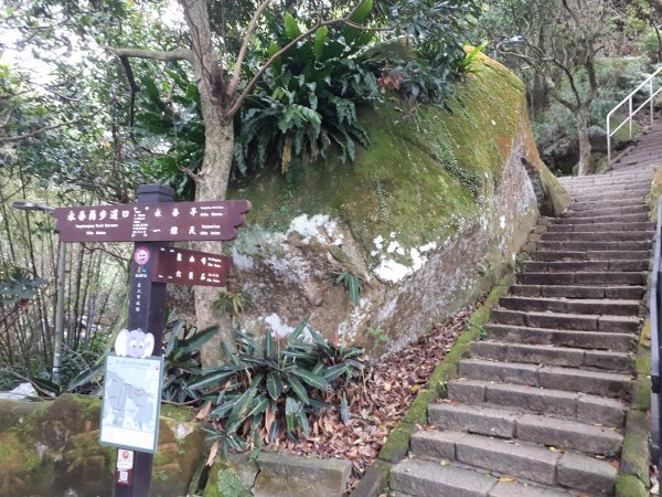 象山親山步道1659944