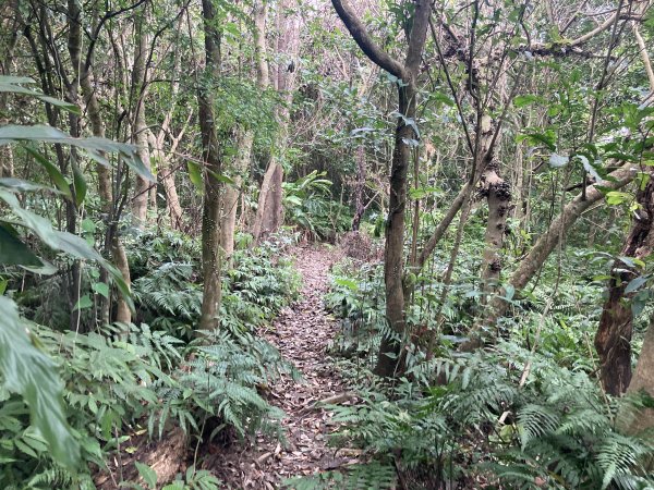 土庫岳2527795