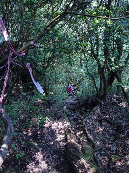 那結山（嘎色鬧部落線）893447