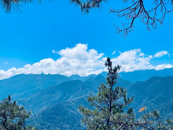 20260531觀霧榛山登山步道（榛山北峰+主峰+環形步道）3071475