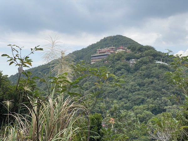 2023/11/10 圓覺瀑布 鯉魚山 碧山巖 忠勇山2383373