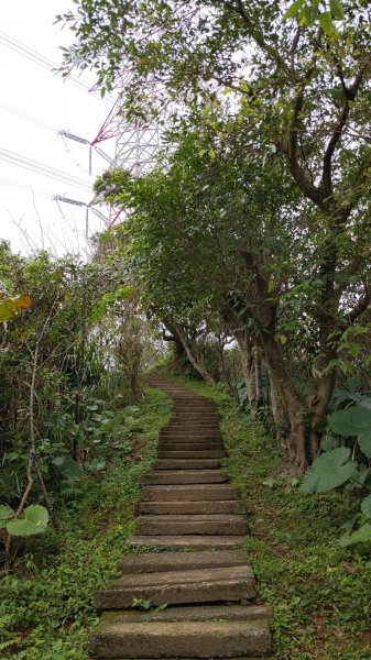 20230124_年初二_新店文筆山_土城清水大尖山_新加坡嶺_青龍嶺2011160