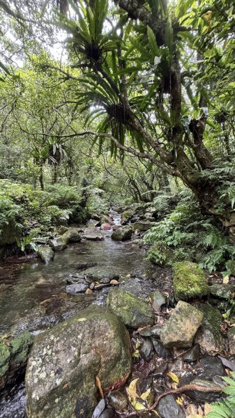 20250708 四堵古道2837757