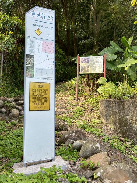 樟之細路三坑到關西3015333