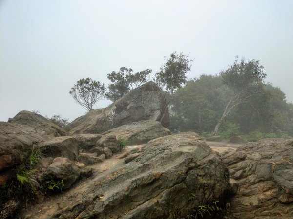 石牛山(小百岳)迷霧中登頂及陡坡探險之旅903802