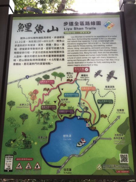 小百岳 編號89號 鯉魚山893498