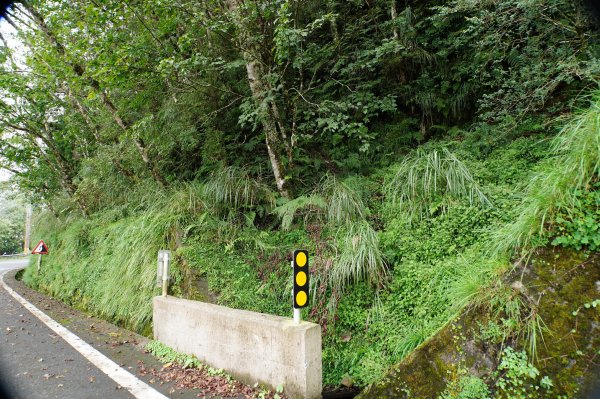 宜蘭 大同 見晴山2890619