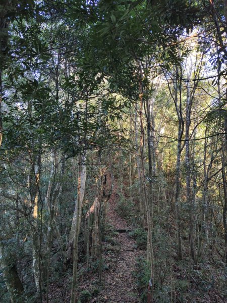 2024.02.01 凌空廊道登煤源山2843950