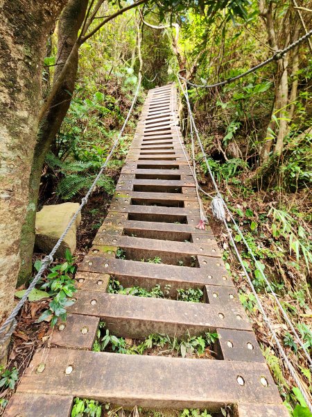 小百岳集起來-獅仔頭山2180885