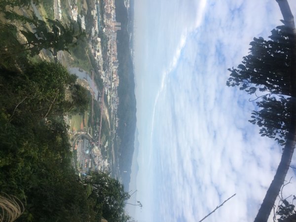 鳶山三連峰O繞一圈（三峽老街祭五臟廟 #鳶山 #鳶山東峰 #鳶尾山 #鳶山岩 #三峽老街2683255