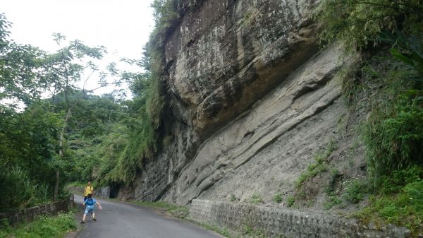 20180520望古瀑布、嶺腳寮山步道370227