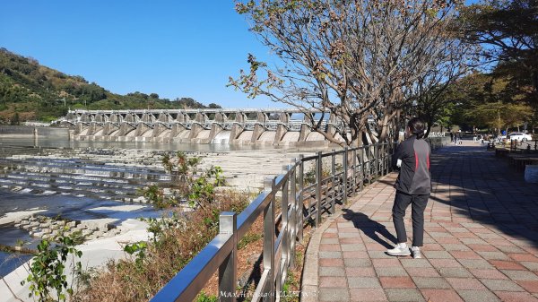《台中》落雨松季｜石岡挑物古道O繞下情人木橋202501122687615