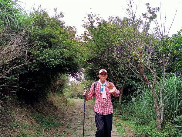 二子坪→菜公坑古道→大屯自然公園→二子坪→二子山東、西峰→面天山-向天山、大屯主峰-連峰步道→清天宮1816127