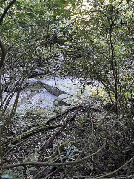 加里山隘勇線2913116