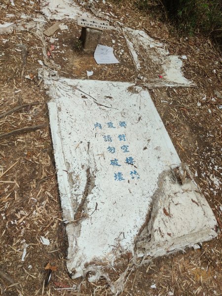 特富野古道>東水西峰>東水山>玉兒山>特富野古道（逆O)2743782