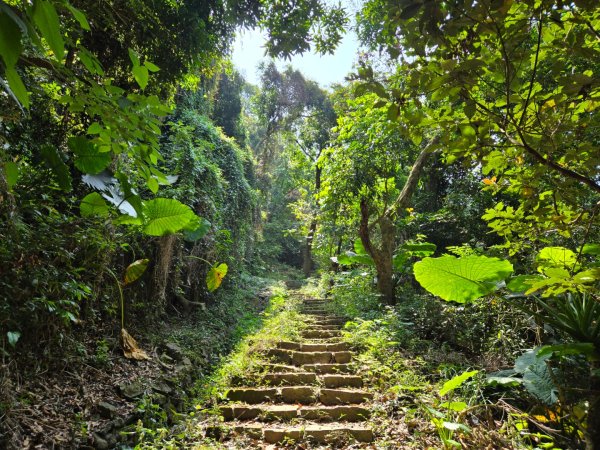龍麟山步道2748676