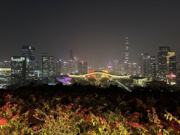 [茂名馬之行-13] 2026_0119 深圳夜景2997028