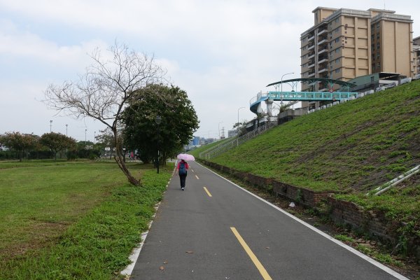 國家級城林人工濕地．打鳥埤人工溼地1182188