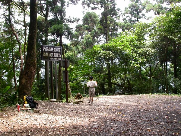 內洞森林遊樂區1966187