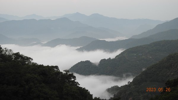 新店石碇趴趴走追雲趣，翡翠水庫壩頂邂逅藍腹鷴一箭雙鵰5/262162239