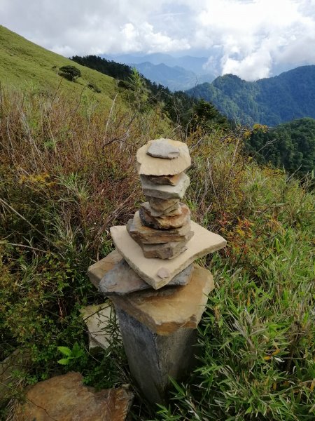 南投仁愛~站在雲端上。百岳~合歡主峰步道1013546