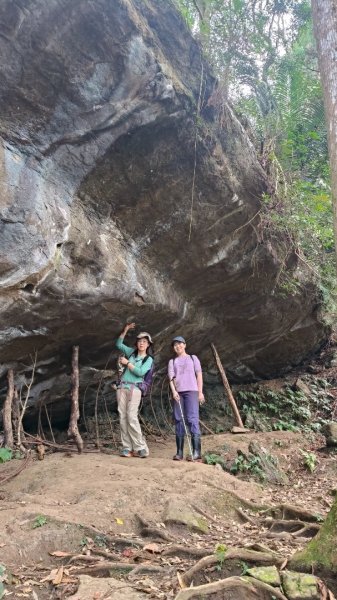 向天湖山11501252988144